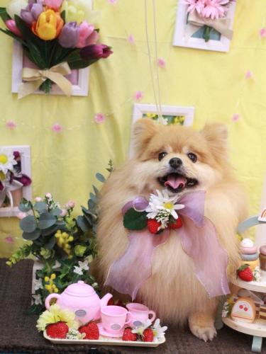 20230324梛都ちゃん